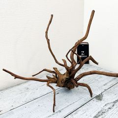 【広がる枝が魅力】プレミアムブランチウッド/Branchwood 【B002】