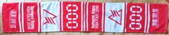 板野友美 Asia Tour 2016 タオル AKB48のサムネイル