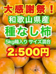 【大感謝祭！】農家直送　和歌山県産　たねなし柿(刀根早生柿) 5kg箱入り　サイズ混合　訳アリ　家庭用　送料無料　2500円　6