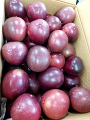 数量限定！沖縄産パッションフルーツ　4キロ　無農薬