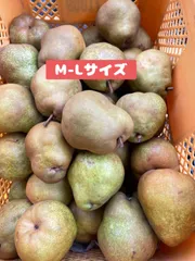 激レア！ラフランスちゃん　山形　ご当地　カスタネット　根付　レトロ 激レア！ラフランスちゃん山形ご当地カスタネット根付レトロ