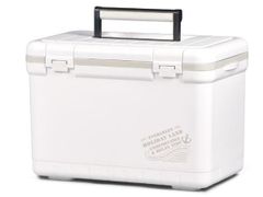 Item thumbnail for item 931e588f-6ac2-41ad-96ad-06da0e6c102a