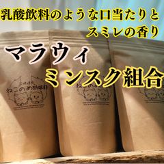 マラウィ ミンスク組合 100g×1袋 新鮮厳選 炭火自家焙煎コーヒー豆 可愛い 猫柄 ねこのめ珈琲 ハンドピック済 お土産用にもどうぞ