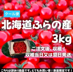 2025年最新】規格外トマトの人気アイテム - メルカリ