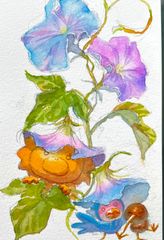 【原画】アサガオ