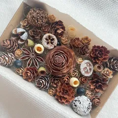 ドライフラワー ドライ ナッツ 木の実 詰め合わせ セットˎˊ˗ クリスマス　クリスマスBOX  　ブラウン　ゴールド　ナチュラルクリスマス スノーブラウン　ナチュラル　No.105