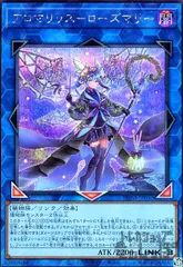 2026年最新】遊戯王アロマリリスローズマリー25thの人気アイテム