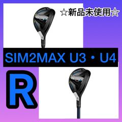 SIM2MAX ユーティリティーR U4・U3 TENSEI BLUE TM60