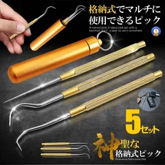 5セット 格納式 ピック セット ステンレス 爪楊枝 ケース 3種類 つまようじ 携帯 キーホルダー GOLDSET ネコポス