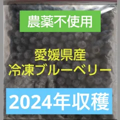 ブルーベリー　600g 常温メルカリ便発送 2025年最新】ブルーベリーの人気アイテム - メルカリ