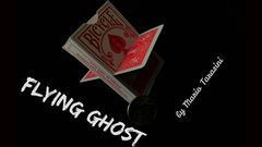 コインがカードを貫通する！ Flying Ghost by Mario Tarasini(手品、マジック）