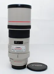 2023年最新】Canon EF 300 4 L IS USMの人気アイテム - メルカリ