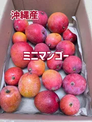 リ*サ様 ミニ+ミニミニマンゴー　　セット リ*サ様 ミニ+ミニミニマンゴーセット