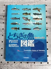 2024年最新】なかがわ水遊園の人気アイテム - メルカリ