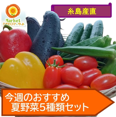糸島産直 今週の夏野菜5種類セット