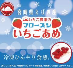 いちご農家のいちごあめフローズン 18本入 - メルカリ