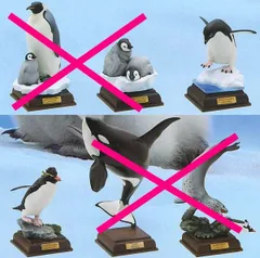 ♯Kvi26CZ ネイチャーテクニカラー 南極 全7種 ガチャポン ♯Kvi26CZネイチャーテクニカラー南極全7種アザラシ鯱フィギュア♂奇譚