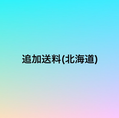 北海道 送料追加専用ページ