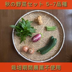秋の野菜セット #5-7品種 #60サイズ #送料込み