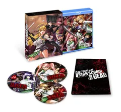 2024年最新】学園黙示録 HIGHSCHOOL OF THE DEAD Blu-rayの人気