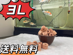 ろ材濾過材水槽フィルター水質浄化抜群高品質多孔溶岩石パワーリング3L