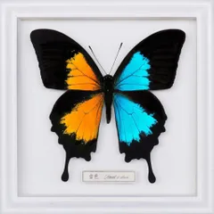 美品】FLOW直筆サイン入りポスター 音色/break it down（希少品