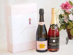 入手困難Veuve Clicquotメールボックス　シャンパンケース 2025年最新】ヴーヴ・クリコ ケースの人気アイテム - メルカリ