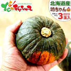 【予約/9月下旬(9月5日)頃～出荷予定】】 北海道産 坊ちゃんかぼちゃ 3玉(1玉 300g) 秋野菜 カボチャ 坊ちゃん南瓜 パンプキン ハロウィン 野菜 ギフト 贈り物 お祝い 内祝い プレゼント ご家庭用 北海道 グルメ お取り寄せ