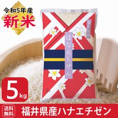 新米　ハナエチゼン 白米 5kg 福井県産