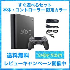 PS4 PlayStation4 Days of Play Limited Edition 1TB 本体 すぐ遊べるセット 限定デザイン コントローラー　中古