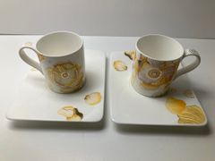 ビレロイボッホ　カップ＆ソーサー　２客セット