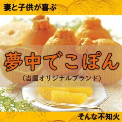 和歌山県産 不知火 有田 2kg 有田みかん デコポン でこぽん 甘い 加工用