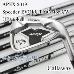 2023年最新】キャロウェイ 2019 APEX アイアン 6本セット (5-9,PW