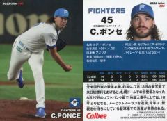 Item thumbnail for item d30828bc-bb72-4b72-9bcf-044f6d31e617