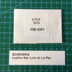 2025年最新】ヒアリナ ラパスの人気アイテム - メルカリ