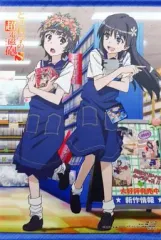 F*】様 シークレット　バスタオル　タペストリー　とある科学　初春飾利 & 佐天 シークレット バスタオル タペストリー とある科学 初春飾利