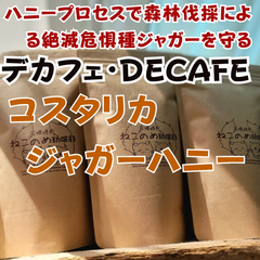 デカフェ DECAFE コスタリカ ジャガーハニー 新鮮厳選 炭火自家焙煎コーヒー豆 100g×1袋 可愛い猫柄 ねこのめ珈琲 ハンドピック済 お土産用にもどうぞ