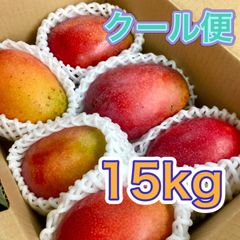 【訳アリ】【奇形】摘果マンゴー　グリーンマンゴー　9kg クール便 摘果マンゴー グリーンマンゴー 14kg （カリフォルニア