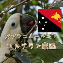 パプアニューギニア コルブラン農園 ★スペシャリティコーヒー　100g入り★パプアニューギニア珈琲豆★自家焙煎コーヒー豆★M river side coffee★エムリバーサイドコーヒー★自家焙煎珈琲