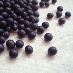 黒千石 800g 2025年産 令和7年産 北海道産 小粒黒豆 チャックつき 店舗発送