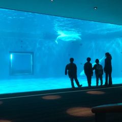 ❣️エルメス❣️HERMESボリード35トワルアッシュヴァッシュ○X刻印【美品】 ❣️エルメス❣️HERMESボリード35トワルアッシュヴァッシュ•○X刻印