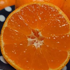 佐瀬みかん S 5kg 甘味と酸味のバランスがとても美味しい🍊