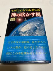 本 小説 シドニー シェルダン 神の吹かす風 上