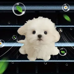 COOPERCRAFT　マルチーズと思われる犬の置物　白色　ホワイト　レア　希少 COOPERCRAFT マルチーズと思われる犬の置物 白色 ホワイト レア