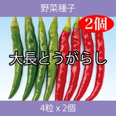 野菜種子 ECB 大長とうがらし 4粒 x 2個