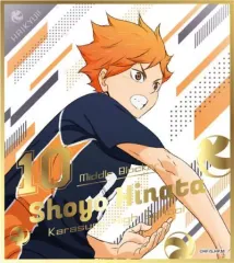 【中古】紙製品 日向翔陽 「ハイキュー!! TO THE TOP ビジュアル色紙コレクション5」