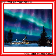 オーロラ・フィン　CHARGER　トライフィン　中古品