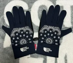 Supreme　ノースコラボバンダナグローブ Supreme×THE NORTH FACE 'Bandana ETIP Glove'グローブ 手袋