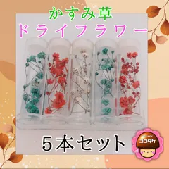 ☆ 1/64 Cocodake Plate ⑤　　　　　　【数量限定】 ☆ 1/64 Cocodake Plate