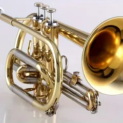 2025年最新】JAZZトランペットの人気アイテム - メルカリ